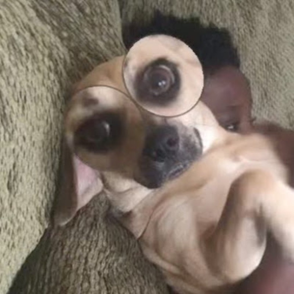 Meet your Posher, Juliana - Picture 1 of 1